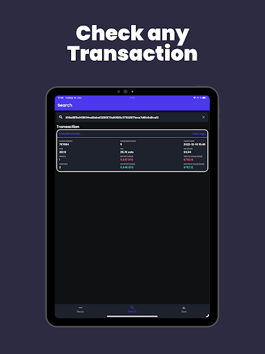 Screenshot of Bitcoin Block Explorer