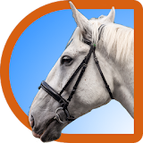 Horse Puzzle For Kids icon