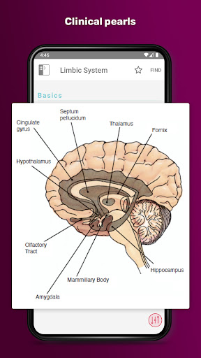 PsychNotes: Clinical Pkt Guide 4