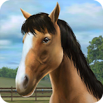 Cover Image of 下载 My Horse  APK