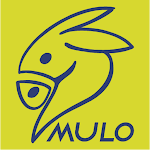 Mulo Mobility