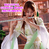 Beautiful Chinese Music Instrument icon