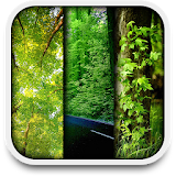 nature live wallpapers icon