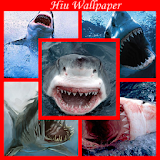 sharks Wallpaper icon