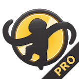 MediaMonkey Pro icon