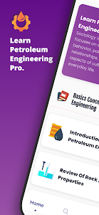 Petroleum Engineering (Pro)