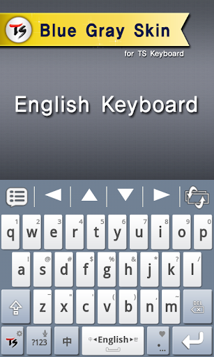 Blue Gray Skin for TS Keyboard Screen 2