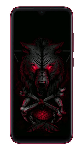 خلفيات ذئاب و صور