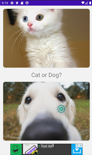 Android application Cat&Dog Pictures screenshort