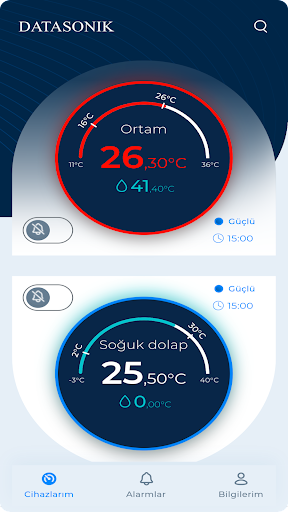 Datasonik Screen 2