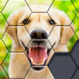 Block Hexa Puzzle - jigsaw puzzles for free icon
