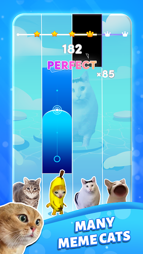 Piano Cat 2: Meme Music Game 2