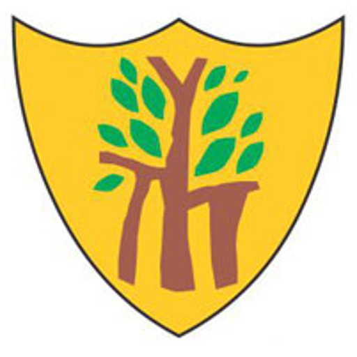 Dikshant Global School logo