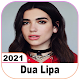 Exclusive Dua Lipa Songs 2021 Download on Windows