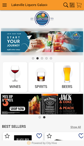 Lakeville Liquors Screen 3