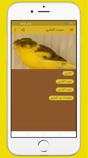 Canary voice
