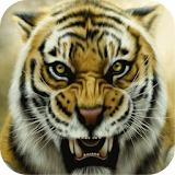 Tiger live wallpaper icon