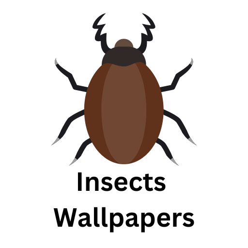 Insect Wallpapers logo