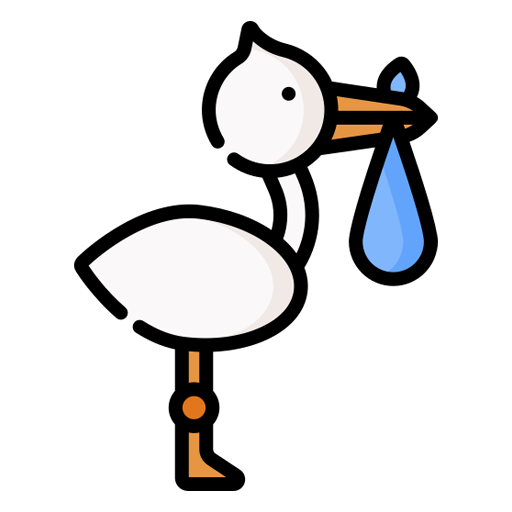 Birthing Planner logo