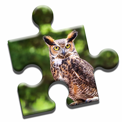 Owls of the World Puzzle logo