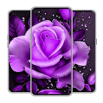 Cover Image of Tải xuống Purple Rose Love Wallpaper 1.0 APK