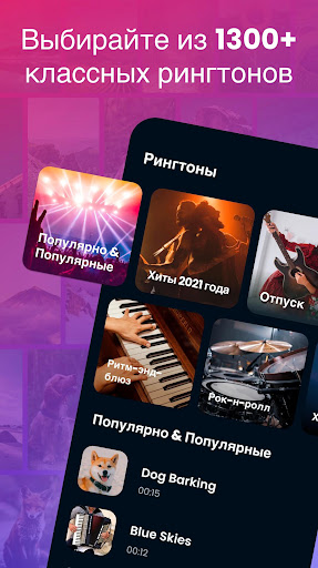 Предварительный просмотр приложения