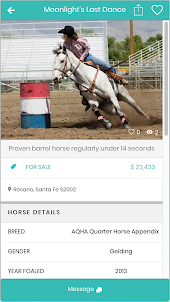 PonyPlace - Buy and Sell Horse