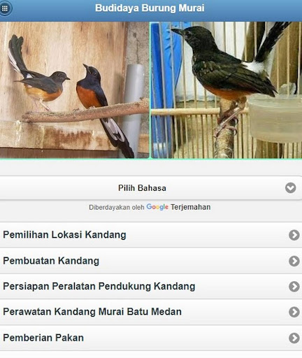 Android application cultivation of Magpies screenshort