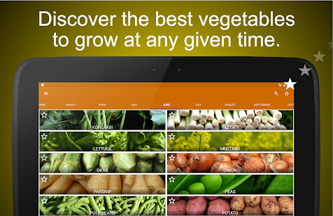 Planting calendar - vegetables