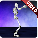 Cover Image of Unduh Dance Skeleton Video Wallpaper  APK