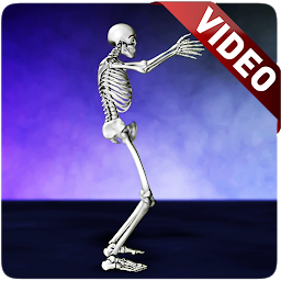 Icon image Dance Skeleton Video Wallpaper