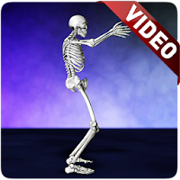 Dance with Skeleton Video Live Wallpaper