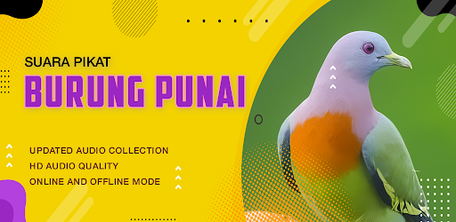 Suara Punai: Green Pigeon Screen 2