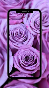 Purple Aesthetic Wallpaper::Appstore for Android