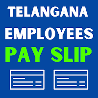 Telangana Employees Pay Slips