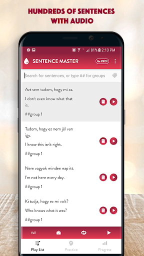 Hungarian Sentence Master Screen 2