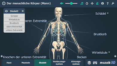 Der Menschliche Korper Mann Bildungs 3d Vr Apps Bei Google Play