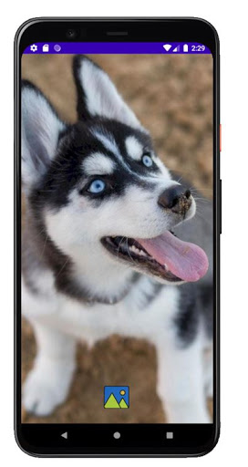 Fondos de Pantalla de Perros H Screen 3