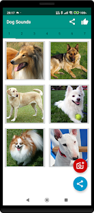 Dog Video Creator (Dog Sounds) スクリーンショット