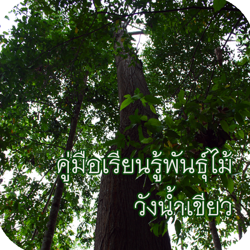 Tree Learning Manual in Wang N logo