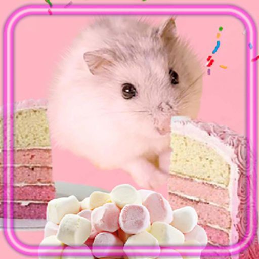 Hamster Fluffy Pink 1.2 Icon
