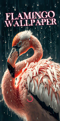 Android application flamingo wallpaper screenshort