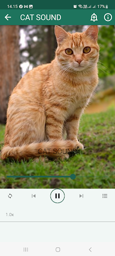 Animal Sounds Screen 2