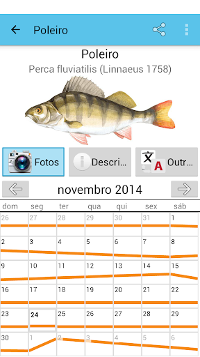 Visualização do aplicativo