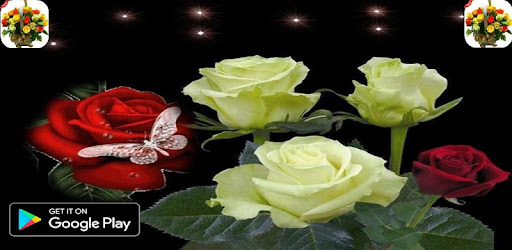 صور باقات زهور متحركة Gif Apps On Google Play
