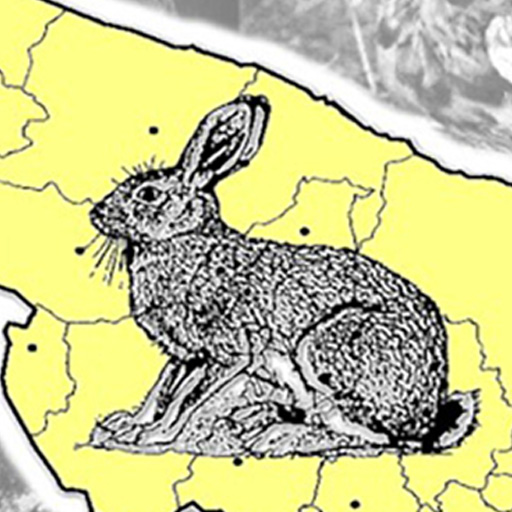 ATC Brindisi logo