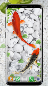 Koi Fish Live Wallpapers HD Unknown