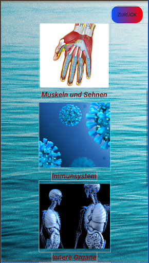 Einfach Anatomie Voll Screen 2