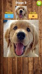 screenshot of [365fun] Matching Puzzle P