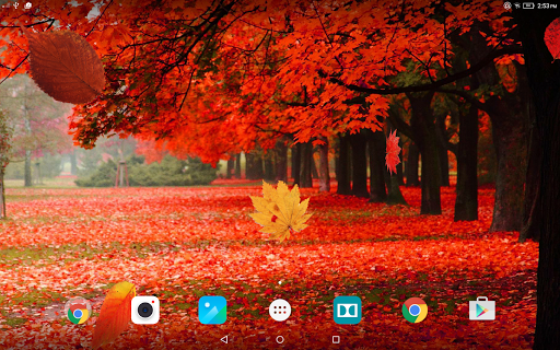 Autumn Forest Live Wallpaper